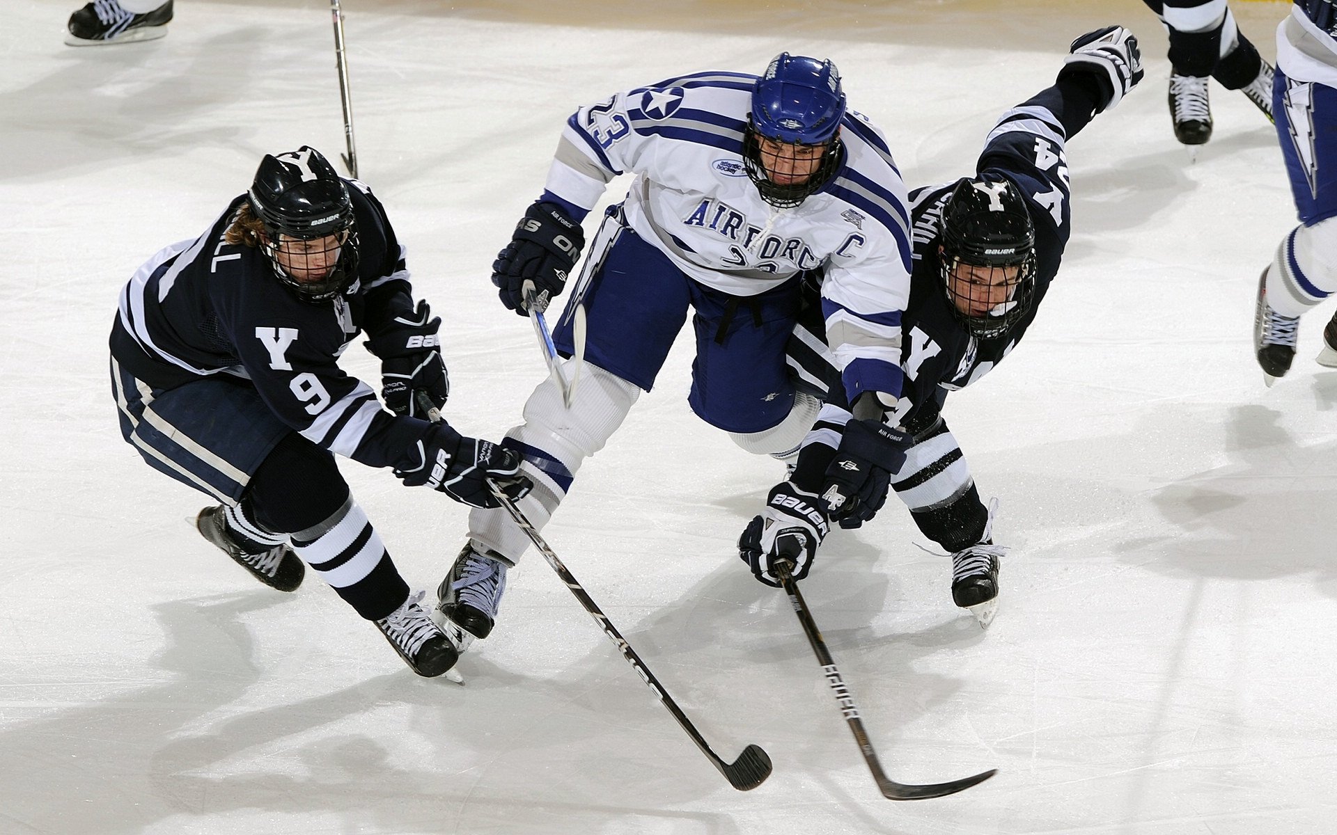 法国橄榄球赛事的转播权价值得到极大提升，法国橄榄球国家队