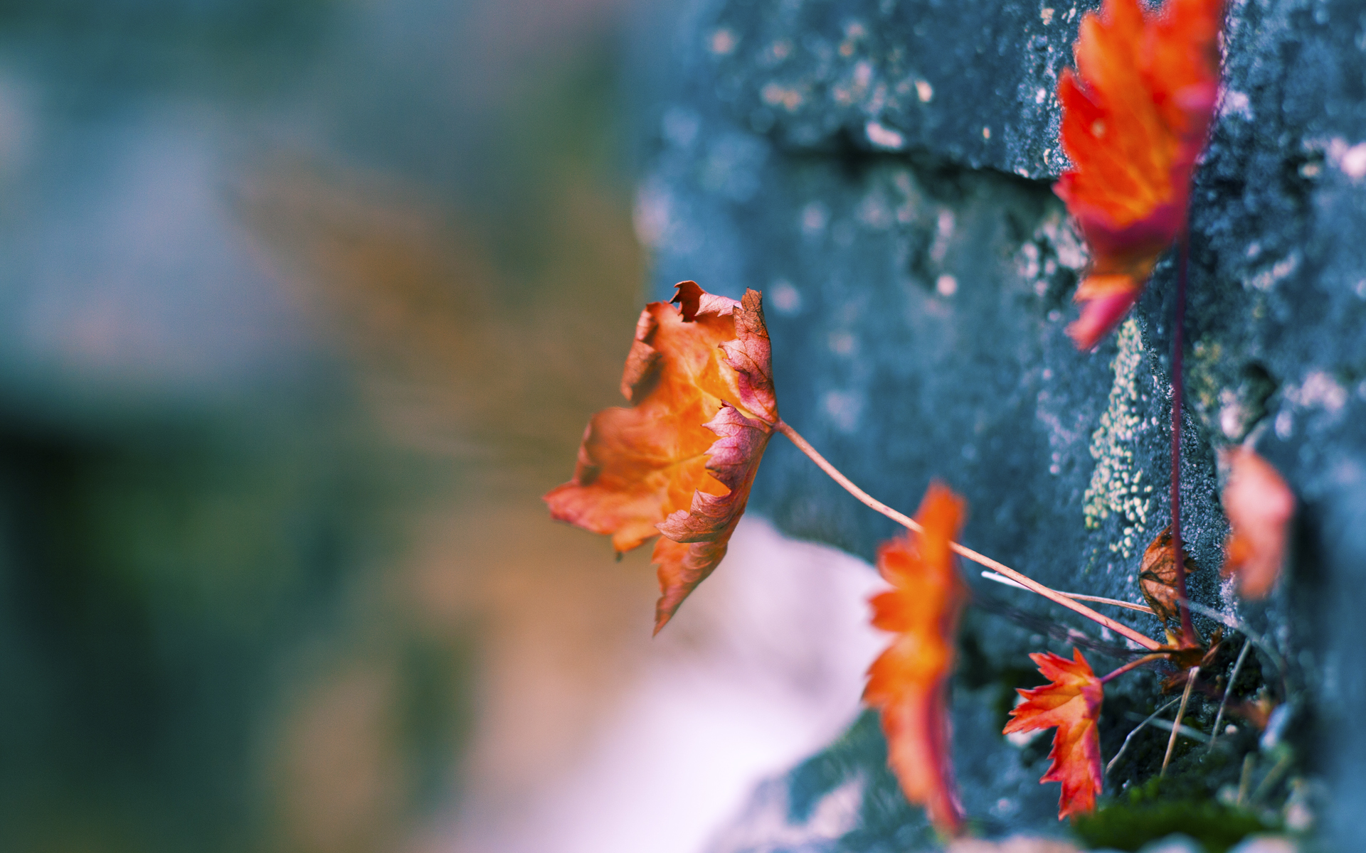 爱游戏真人体育娱乐-Dota 2 赛事直播观看人数屡创新高，dota2比赛观看人数