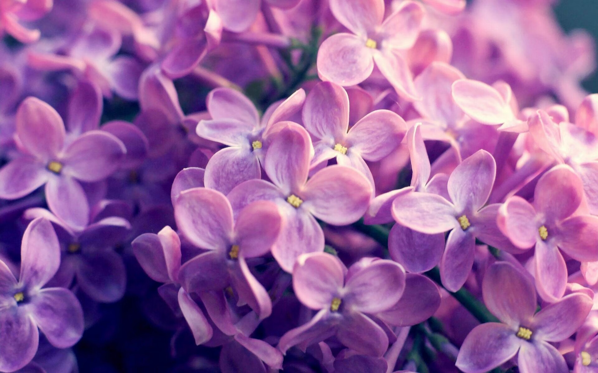 爱游互娱游戏官网-DOTA2赛事中的假赛风波：如何杜绝假赛，维护比赛公平？，dota2nb假赛转了多少钱