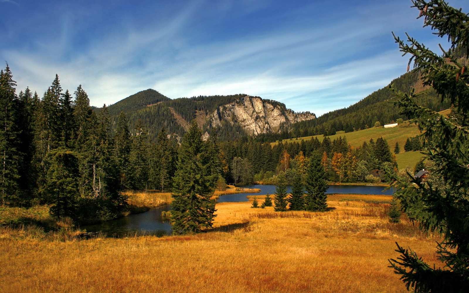 爱游戏电竞下载-“英超战火升级，各队誓夺联赛王座”，英超hull