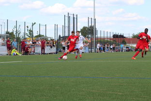 AYX SPORTS-荷兰队在国际赛场持续强势，晋级形势良好